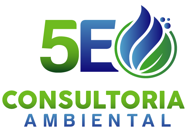 Consultoria5E